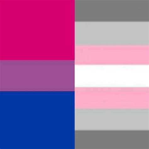 BI/DEMI GIRL FLAG | Bi flag, Bisexual flag, Bisexual