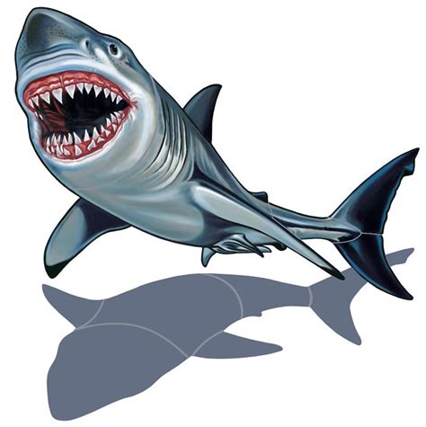 Great White Shark Clip Art - Cliparts.co