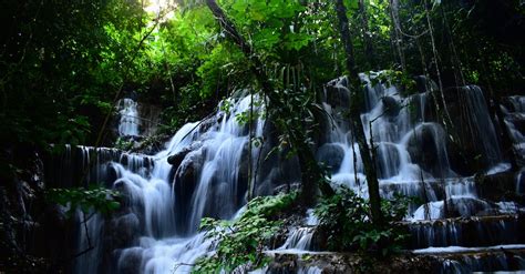 Waterfalls in the Forest · Free Stock Photo