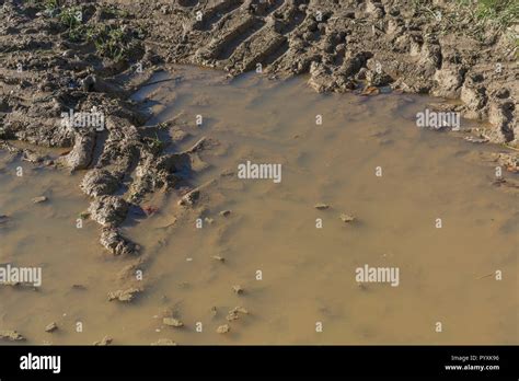 Heavy tractor tyre tracks in muddy water puddle hollow in agricultural ...