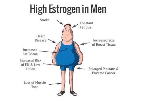 How To Identify High Estrogen in Men - It's Side Effect & Solution