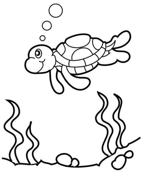 Desenhos Infantis para colorir de Tartarugas