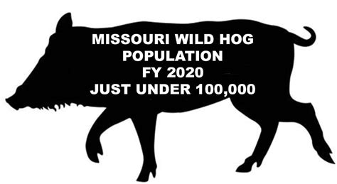 Missouri Feral Hog Budget 2021 - North American Wildlife and Habitat