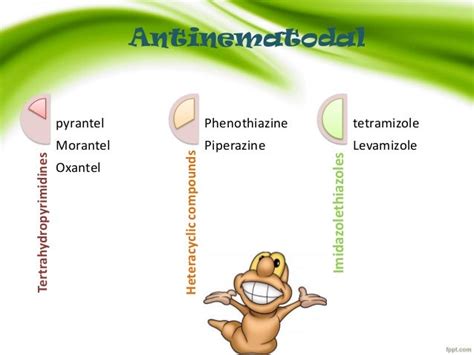 Classification of antiparasitic drugs