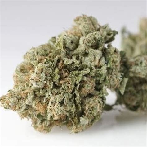 Garanimals Strain | Garanimals Seeds From