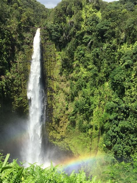 Akaka Falls Hawaii Big Island - Free photo on Pixabay - Pixabay