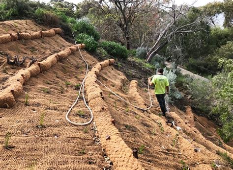 what to plant on slopes for erosion control - Google Search in 2020 ...