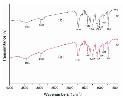 Ftir : Fourier Transform Infrared Spectroscopy Ftir Raman Spectroscopy And Wide Angle X Ray ...