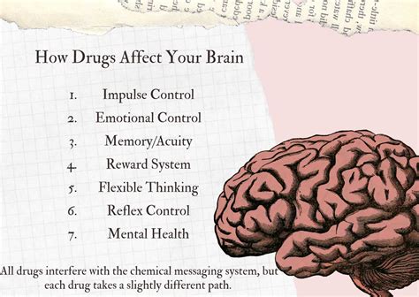 Your Brain On Drugs: How the Damage Is Done and How to Undo It ...