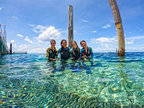 Great Barrier Reef Marine Conservation | Volunteer in Australia 2025