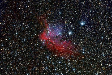 Wizard Nebula, NGC 7380 - Astrophotography by galacticsights