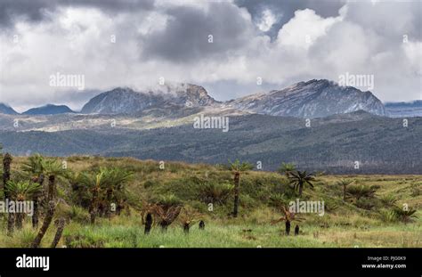 Mountains of the Central Range in the highlands of New Guinea. Papua, Indonesia Stock Photo - Alamy