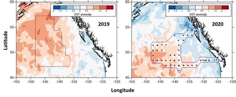 Sea surface temperature anomaly (1993-2015 mean) during 2019 and 2020 ...