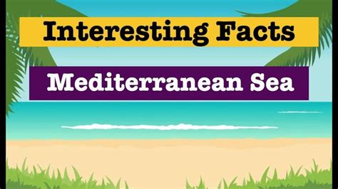 Interesting Facts About The Mediterranean Sea | Fun facts, General knowledge in english ...