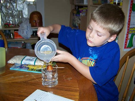 This Side UP: Science: Learning about Plants, Lesson 3: Roots