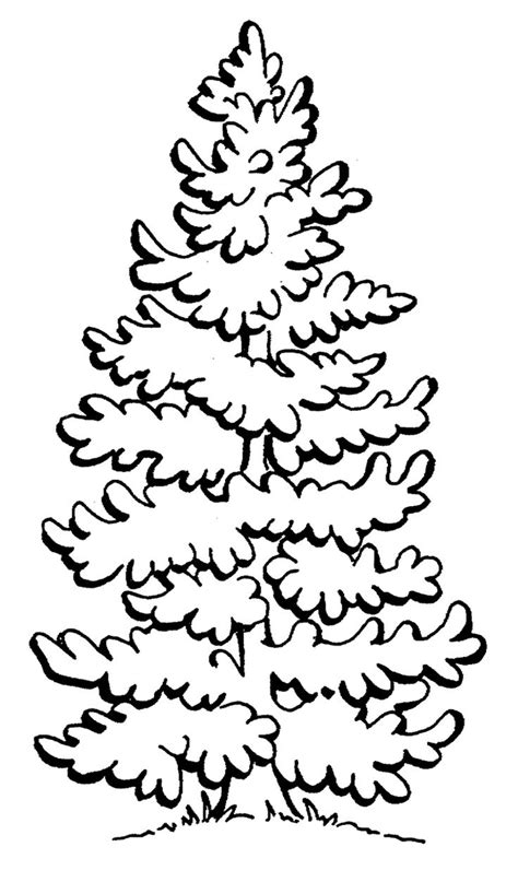 Pine Tree Line Drawing at GetDrawings | Free download