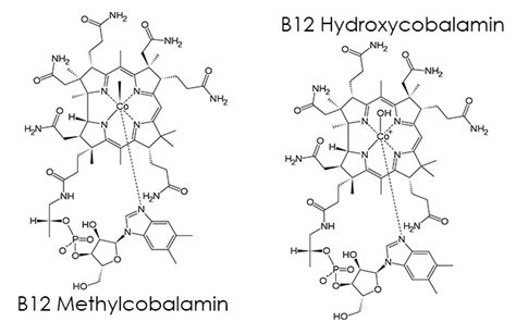 Folinic Acid with Vitamin B12 - Good Whole Food