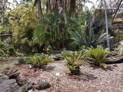 Noosa Botanic Gardens (Cooroy, Australia): Top Tips Before You Go (with ...