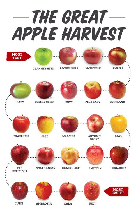 Comparing Apples to Apples | Sprouts Farmers Market | Sprouts farmers market, Apple harvest ...