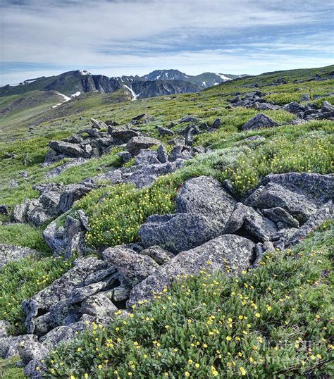 The Continental Divide Colorado Photograph by Andrew Terrill - Fine Art ...