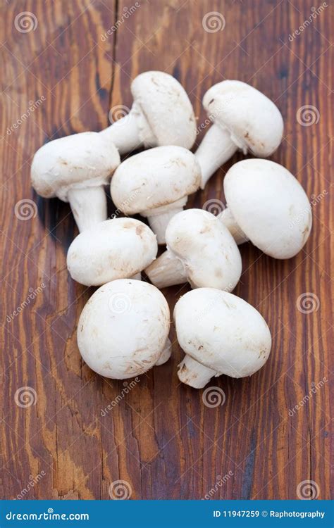 White button mushrooms stock image. Image of button, vegetable - 11947259