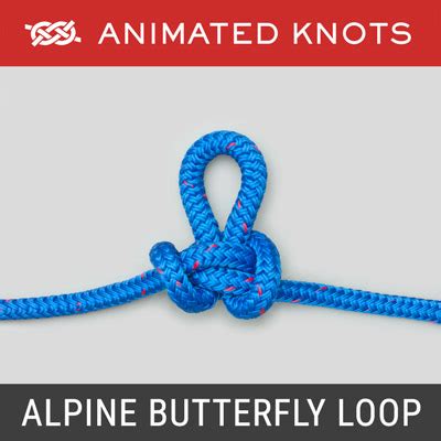 Alpine Butterfly Loop | How to tie a Alpine Butterfly Loop using Step ...