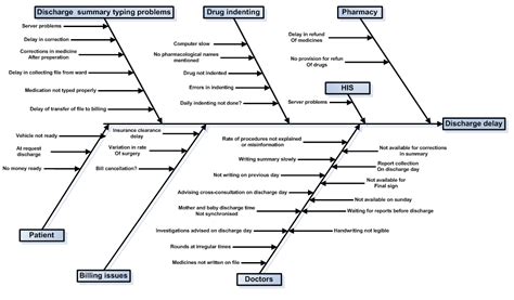 Healthcare Fishbone Diagram Example