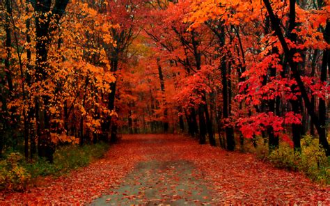 Fall Time Wallpapers - Wallpaper Cave