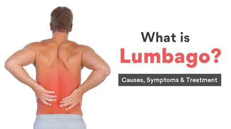 Lumbago - causes, symptoms and treatment - Spine Surgeon Mr Mangattil ...