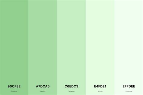 35+ Best Green Color Palettes with Names and Hex Codes – CreativeBooster