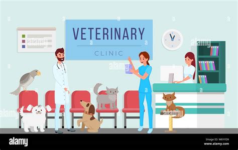 Veterinary clinic workers vector illustration. Vets, professional ...