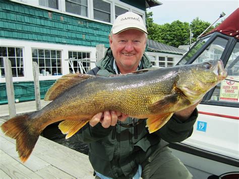 Walleye Habitat, Fishing, and More - FishNY