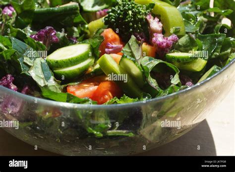 Red Russian Kale Stock Photos & Red Russian Kale Stock Images - Alamy