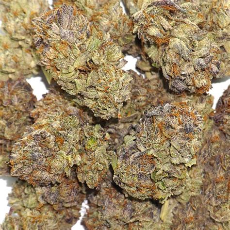 Purple Urkle | ( $89/ Ounce ) – Simply Shrooms