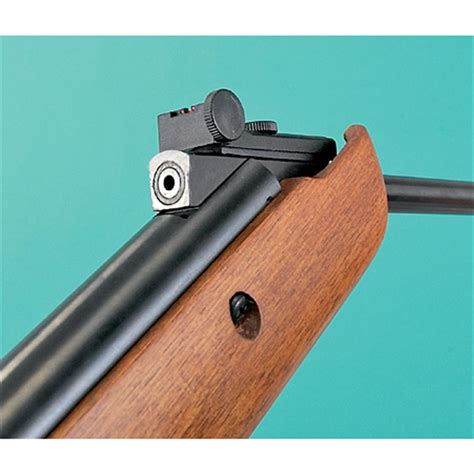 Crosman® Quest 1000 .177 cal. Pellet Rifle - 91776, Air & BB Rifles at ...