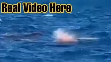 Watch Australia Shark Attack video - Unedited Video of Shark Attack in ...