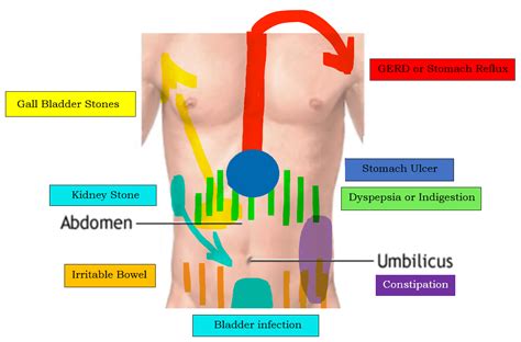 Abdominal Pain Causes, Symptoms and Treatment