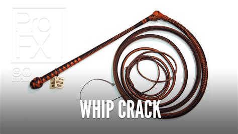 Whip crack sound effect | ProFX (Sound, Sound Effects, Free Sound ...