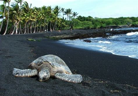 Punaluu, a black sand beach in Hawaii | by Muhammad Sahabuddin | Medium