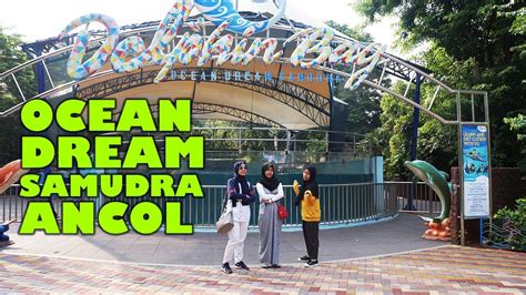 Gelanggang Samudra Ocean Dream Ancol - YouTube