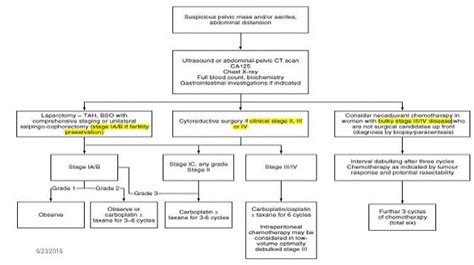 Ovarian Cancer Staging - Surgery for Ovarian Cancer: Principles and Practice - Free ...