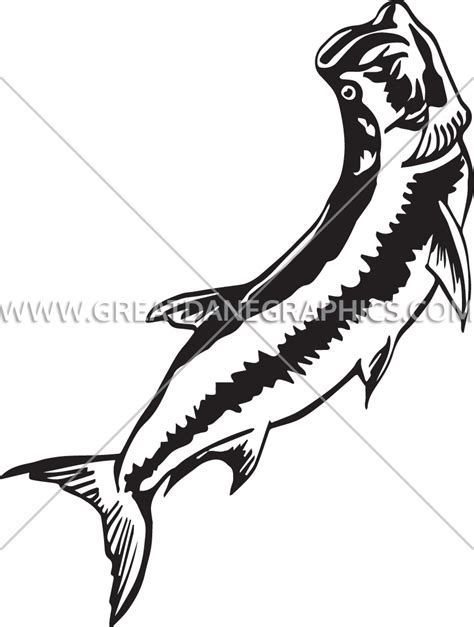 Tarpon Drawing at GetDrawings | Free download