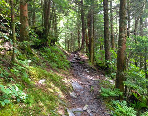 The 5 Most Difficult Hiking Trails in the Smoky Mountains