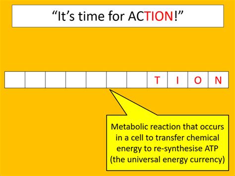 Triglycerides (OCR A-level Biology) | Teaching Resources