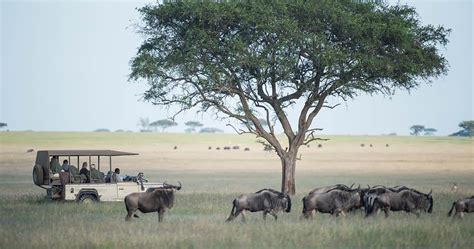 Grumeti Game Reserve in Serengeti National Park - Tanzania