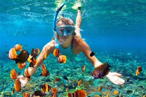 Los 5 Mejores Sitios Para Realizar Snorkel En México | El Rincón de Edy