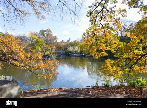 Fall Colors in Central Park Stock Photo - Alamy