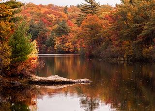 Peak fall color on Birch pond, credit: Jeff Folger | Flickr
