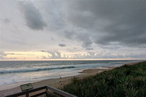 Canaveral National Seashore Wildlife Excursion