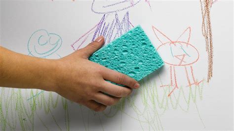 Washable Paint: Best Buys for Walls That Stay Looking Fresh | Homebuilding